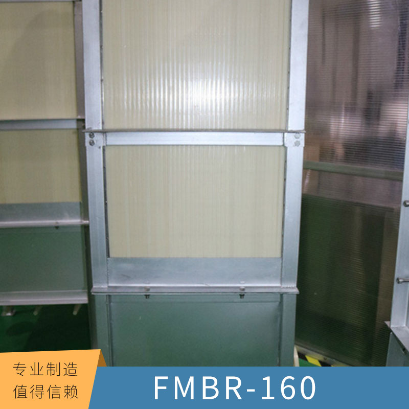 污水处理装置FMBR-160平板超、微滤膜单双层MBR平板膜组件图片