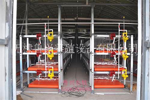 3H6120型自动化养鸡设备山东养鸡设备厂家无棣鲁兴养殖设备有限公司图片