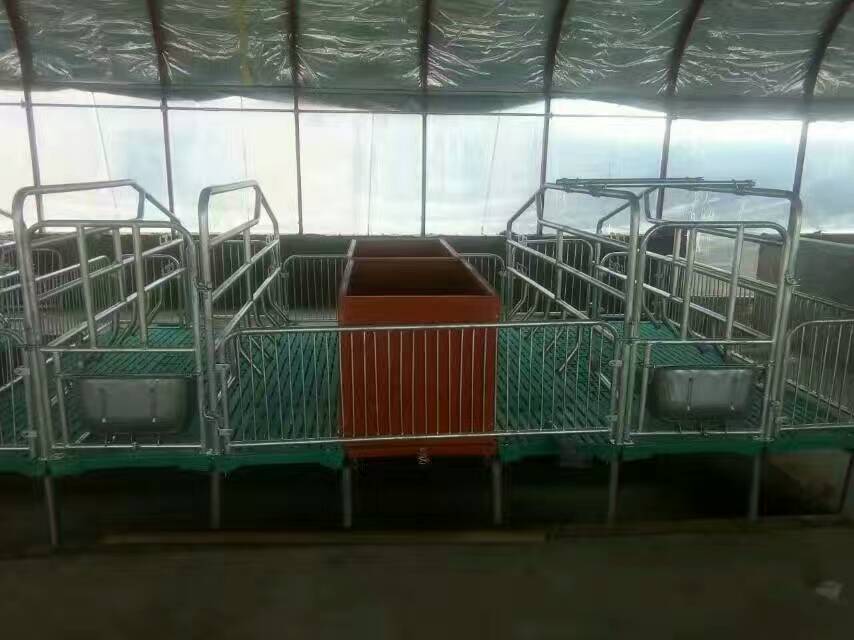 母猪产床仔猪保育床 复合板保育栏 小猪保育床 猪用保育栏 养猪设备厂家