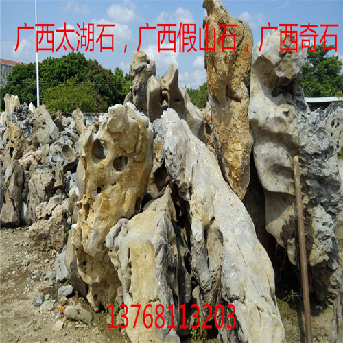 南宁市太湖石，假山石，奇石，园林景观石厂家