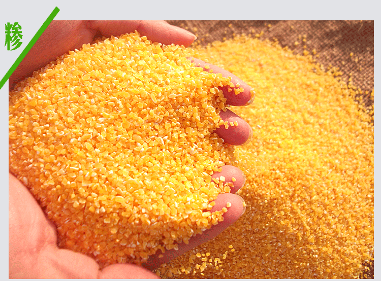 生产出售优质玉米糁 生产出售优质玉米糁金黄饱满图片