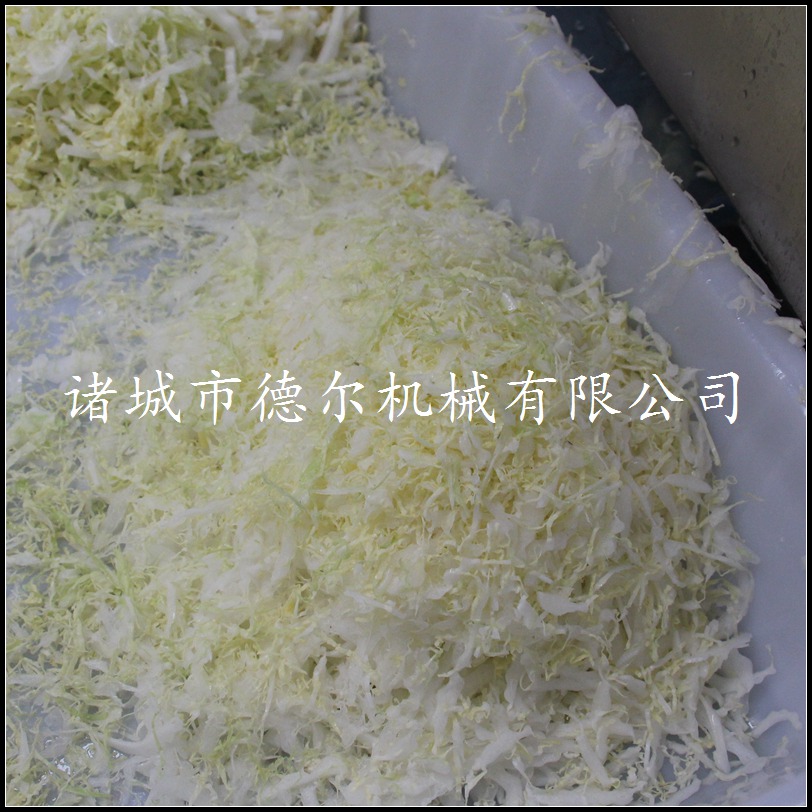 潍坊市变频调速切菜机厂家净菜加工生产线 多功能切菜机 变频调速切菜机