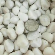 厂家大量销售 机制石米 天然园艺白石子 造景用小石子 各种规格图片