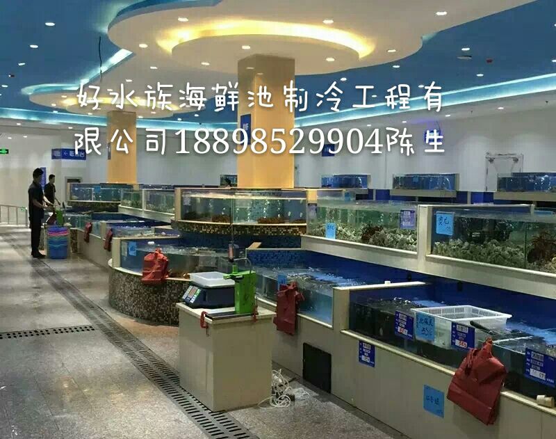 广州天河定做海鲜鱼池,海鲜池设计