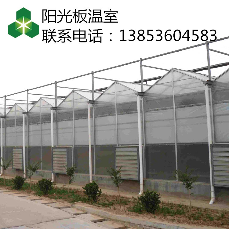 潍坊价格低的阳光板温室厂家 阳光板温室的规格 阳光板温室哪家实惠图片