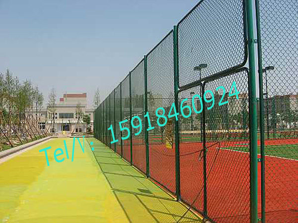 广州浸塑包胶网定做 球场网护栏价格 从化篮球场围栏网现货