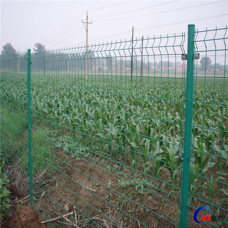 昌熙供应优质护栏网公路 双边丝护栏网 果园围栏网厂家定制销售