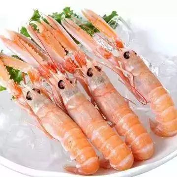 威海海龙虾货源供应深海鳌虾批发批发