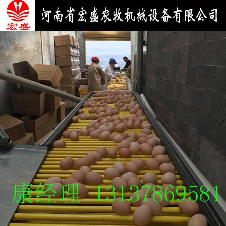 厂家直销蛋鸡笼自动捡蛋设备供应阶梯式蛋鸡笼自动化设备 鸡笼子批发 厂家直销蛋鸡笼自动捡蛋设备