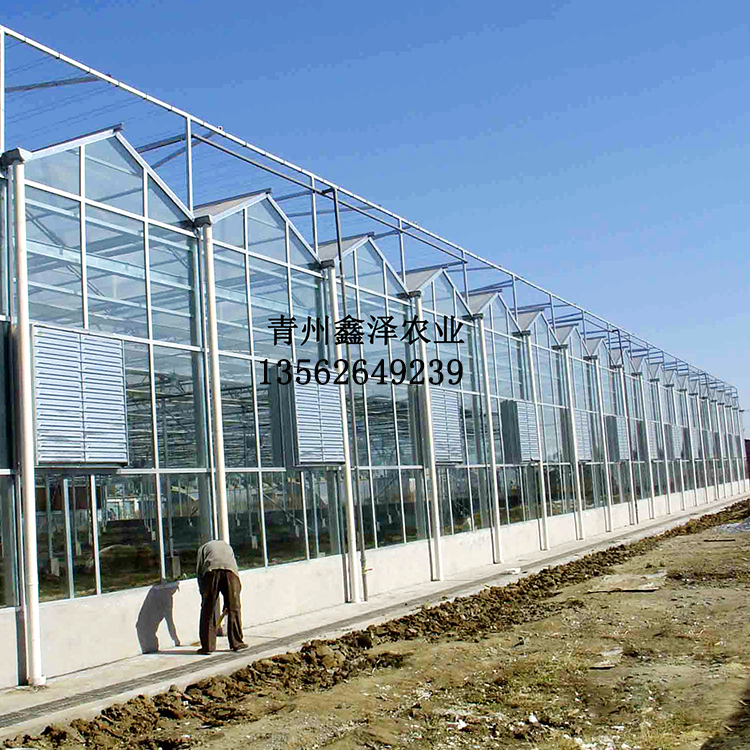 保温玻璃温室大棚 遮阳系统玻璃温室大棚 现代玻璃温室大棚厂家出售 玻璃温室大棚建设图片