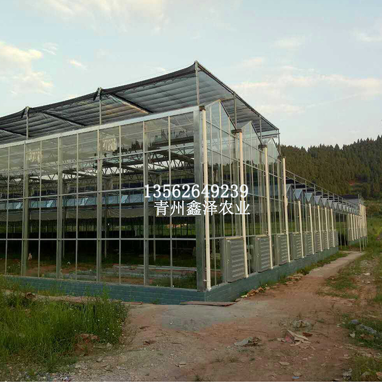 生态餐厅造价 厂家 生态餐厅建设 玻璃温室工程 玻璃温室 工程 玻璃大棚建设图片