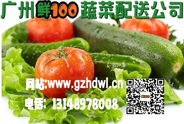 荔湾区蔬菜配送  广州鲜一百蔬菜 荔湾区蔬菜配送广州农产品配送公司