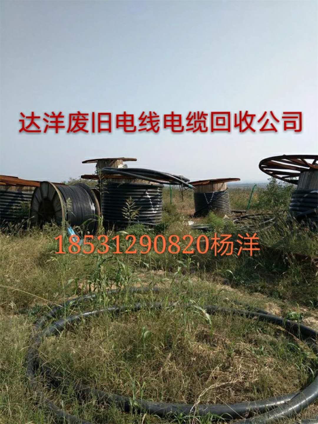 锦州废电缆回收价格 锦州废旧电缆铜电缆回收价格 执照齐全 上门回收