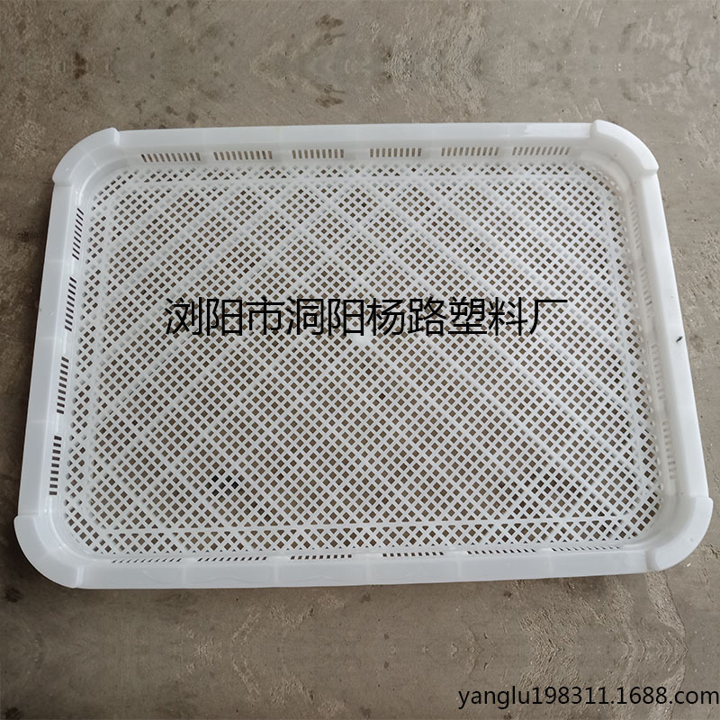 白色网格超大防静电塑料烤盘图片