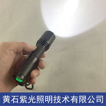 YJ1010电筒_紫光照明YJ1010固态微型防爆电筒图片