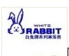 上海长宁区白兔淋浴房维修电话玻璃门滑轮损坏上门更换安装维修图片