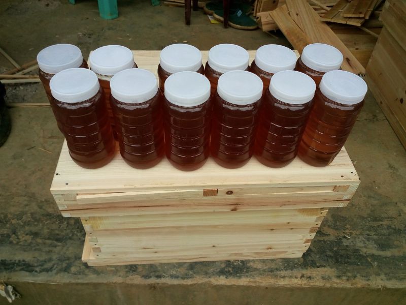 贵州蜂蜜  贵州蜂蜜销售 贵州蜂蜜厂 贵州蜂蜜厂家直销