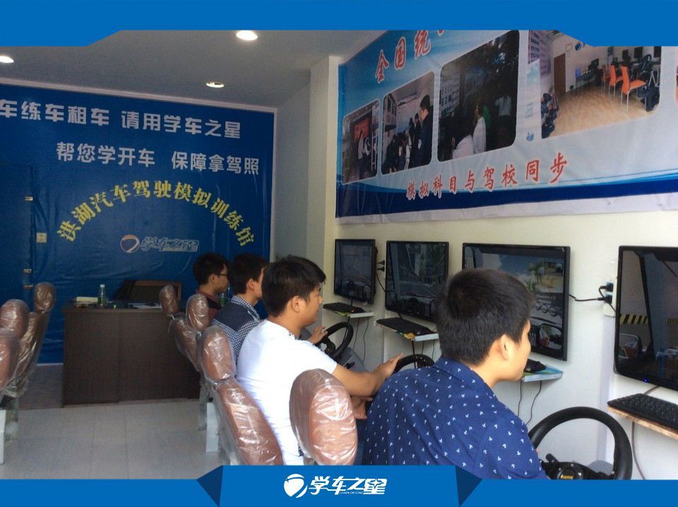 广州市创业项目厂家汽车驾驶模拟器 创业项目