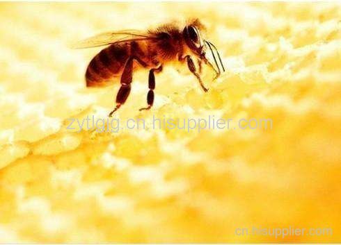 贵州蜜蜂 贵州蜜蜂出售 贵州蜜蜂价格 贵州蜜蜂销售