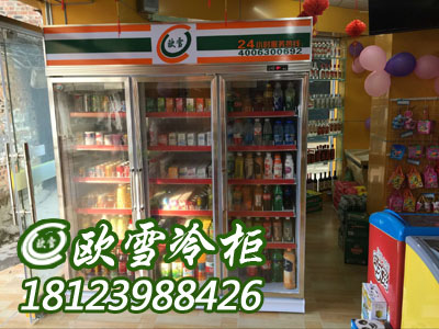 深圳市北京有哪些商用饮料保鲜柜品牌厂家