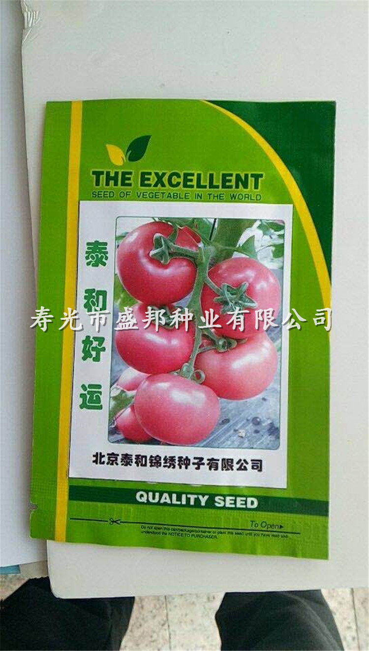 西红柿种子种苗 抗TY番茄种子种苗  大粉柿子苗 越夏品种 泰和好运泰和福运