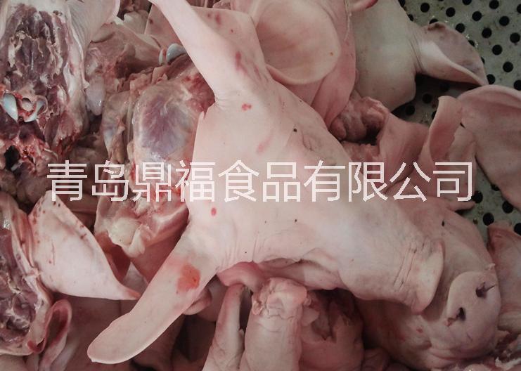 冷冻猪头批发厂家 冷冻猪头肉生产厂家批发