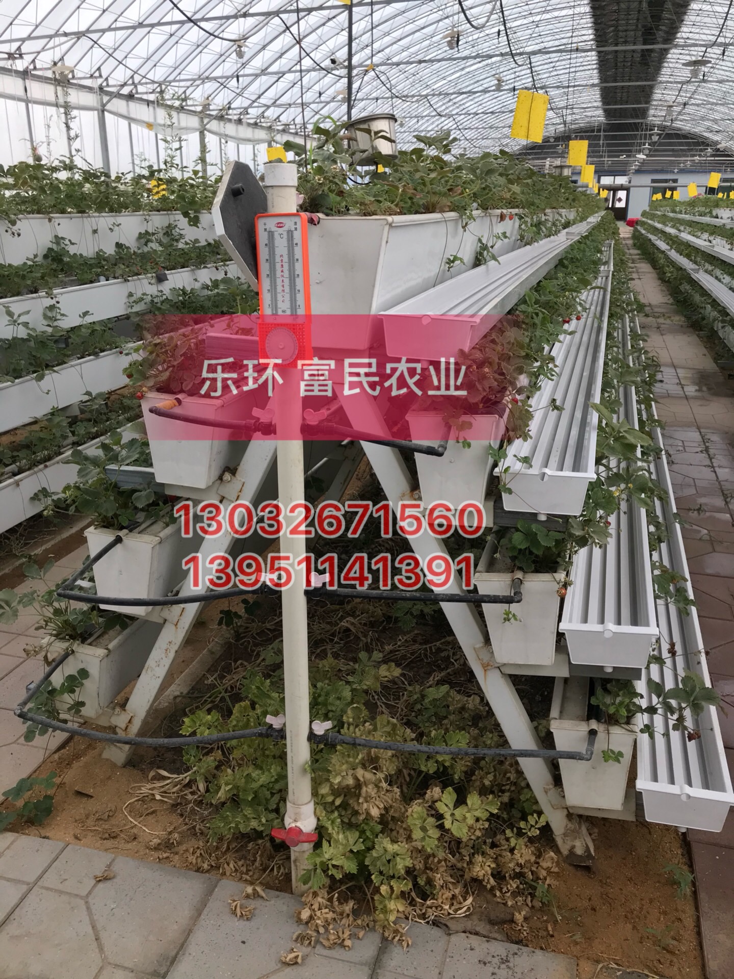 2018创新温室草莓立体种植设备  草莓立体种植槽
