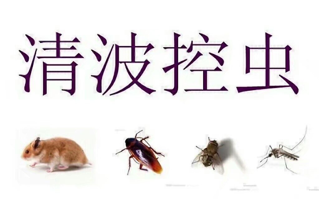 韶关灭鼠公司 韶关灭鼠服务 韶关专业灭鼠  灭鼠杀虫公司