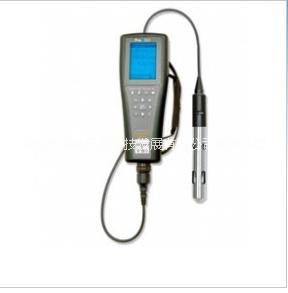美国YSI光学溶解氧测量仪 水中氧含量检测仪图片