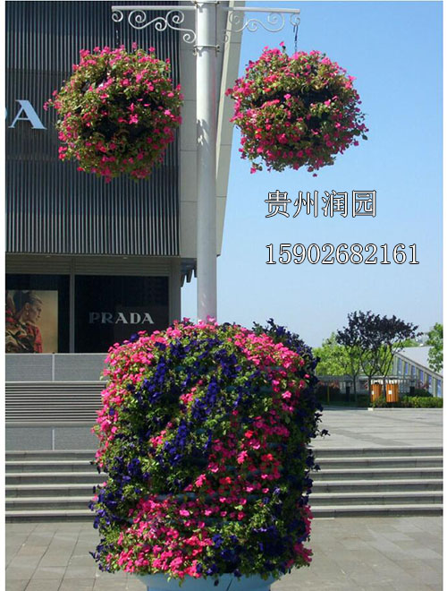 清镇道路广场绿化中的立体花坛设计批发