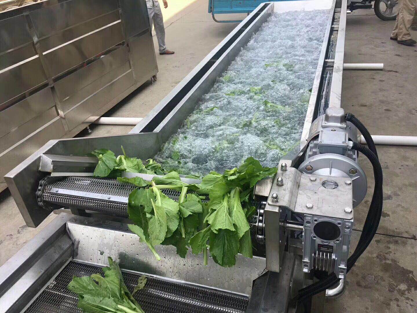 净菜加工流水线  厂家供应果蔬深加工设备 清洗风干漂烫机器