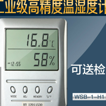 WSB-1-H1高精度温湿度计批发