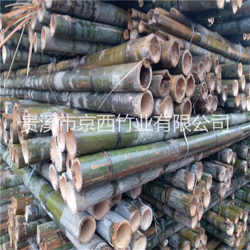 大量批发绿化支撑杆 2米、2.5米、3米粗竹杆