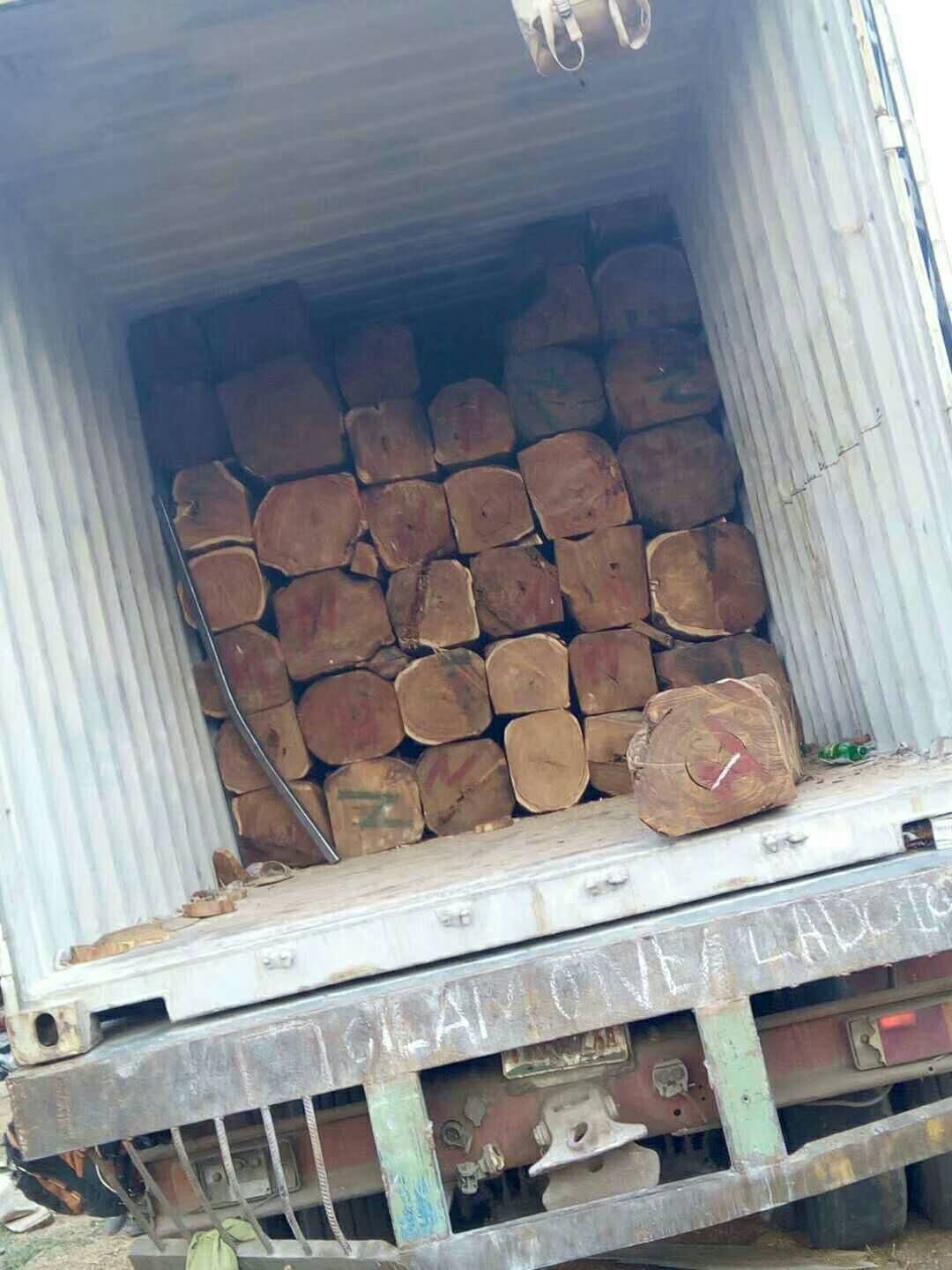 怎样办理黄埔港南美木材进口报关手续？