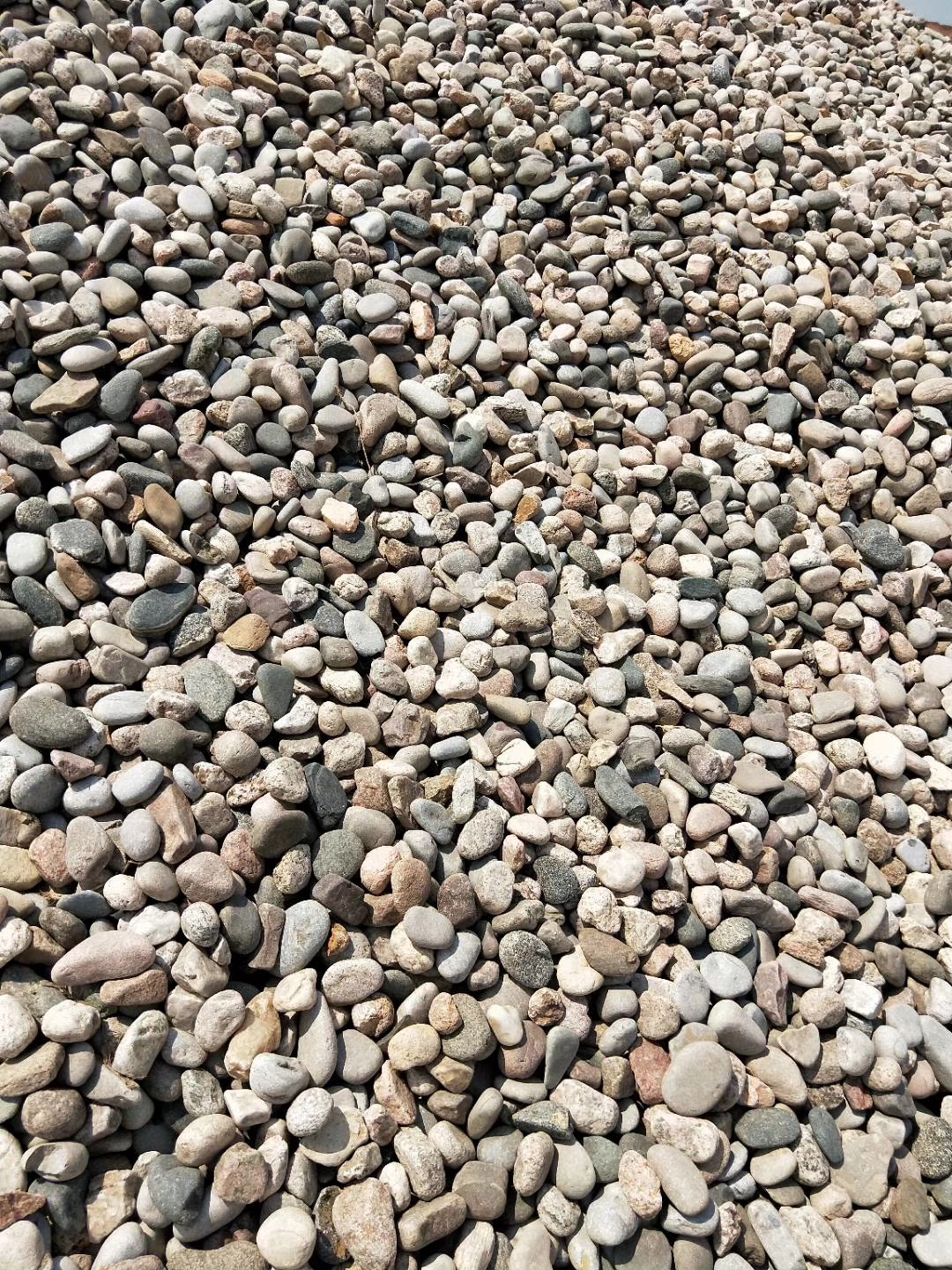 鹅卵石哪里鹅卵石景观石河岸石水冲石溪坑石大  大卵石海浪石开采基 大卵石海浪石开采基地 鹅卵石多少钱一吨 鹅卵石哪里有卖