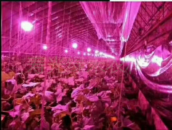 全光谱植物生长灯大棚蔬菜多肉补光厂家全光谱植物生长灯大棚蔬菜多肉补光灯
