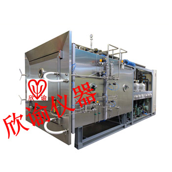 石墨烯生产型冻干机XY-GY-300大型工业冷冻干燥机食品真空冷冻干燥机价格