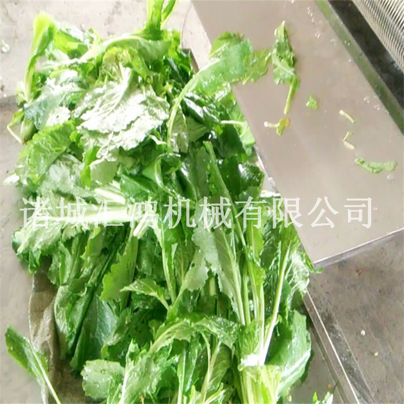 果蔬气泡清洗机 自动洗菜机价格 叶类蔬菜清洗机 连续果蔬加工设备