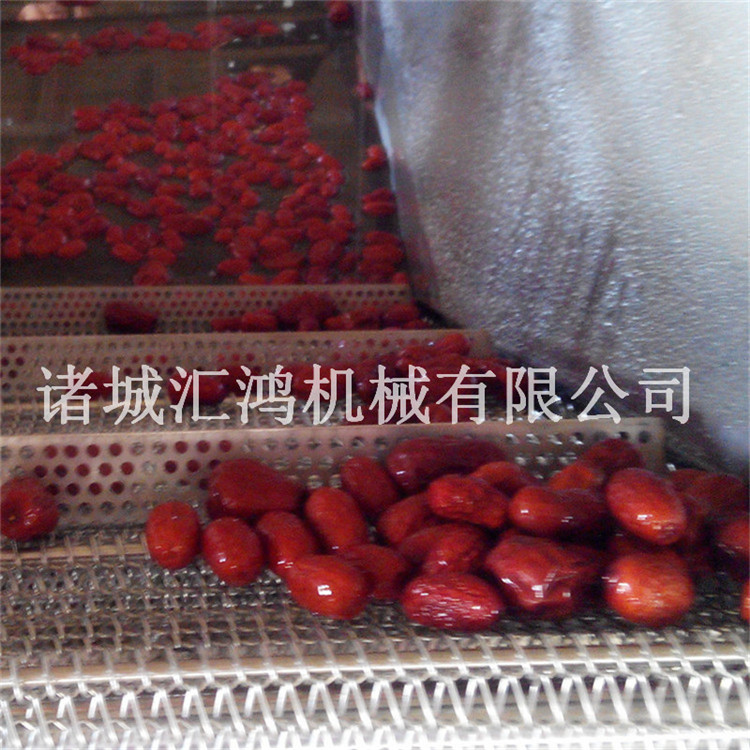 大枣毛辊清洗机 汇鸿大枣清洗机流水线 自动化果蔬加工设备 厂家直销