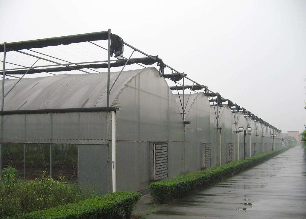潍坊市专业设计薄膜智能温室厂家专业设计薄膜智能温室 薄膜温室厂家 连栋温室建设