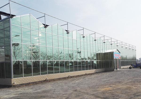 随州拱形玻璃阳光板连栋玻璃温室随州拱形玻璃阳光板连栋玻璃温室大棚优惠多多造价合理建设厂家