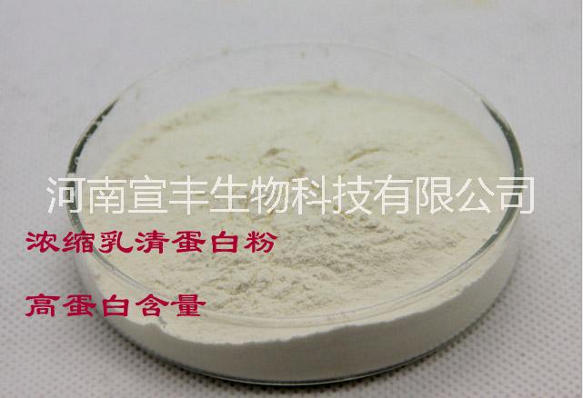 河南宣丰直销食品级乳清蛋白的价格 生产厂家