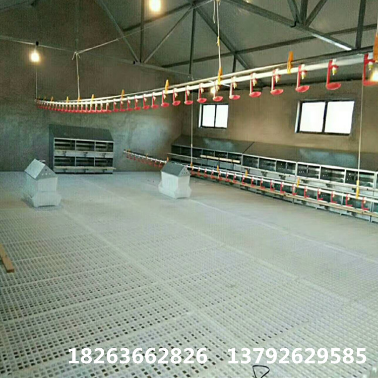 潍坊市鸭用塑料地板厂家