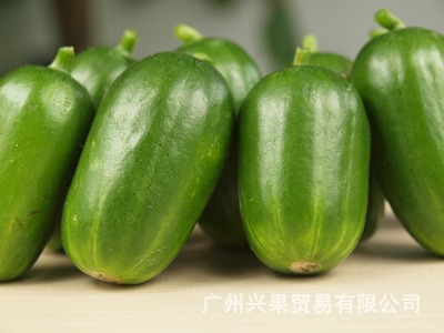 销售大量营养水果黄瓜种子特色栽培批发