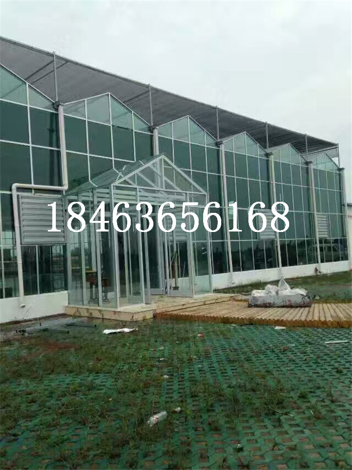 玻璃温室夏季降温 生态温室玻璃 玻璃温室大棚造价