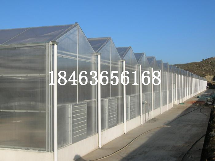 优质的阳光板温室产品的基本常识  新疆阳光板温室大棚图片