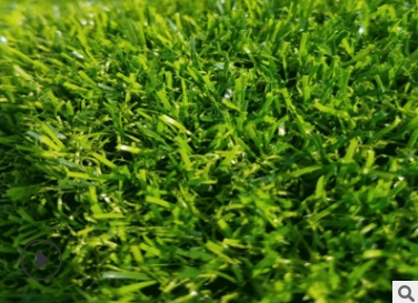 绿色地毯草坪 湖南绿色地毯草坪报价 绿色地毯草坪直销 绿色地毯草坪供应商 绿色地毯草坪报价 湖南绿色地毯草坪直销好图片