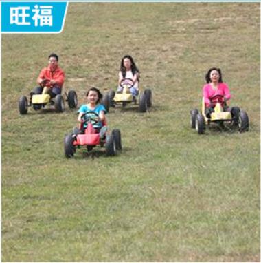 广州代步四轮车的优点