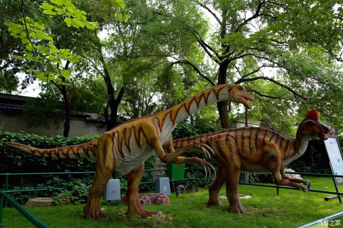 大型仿真恐龙生产厂家-公园景区主题恐龙展租赁-定做仿真恐龙价格电动恐龙