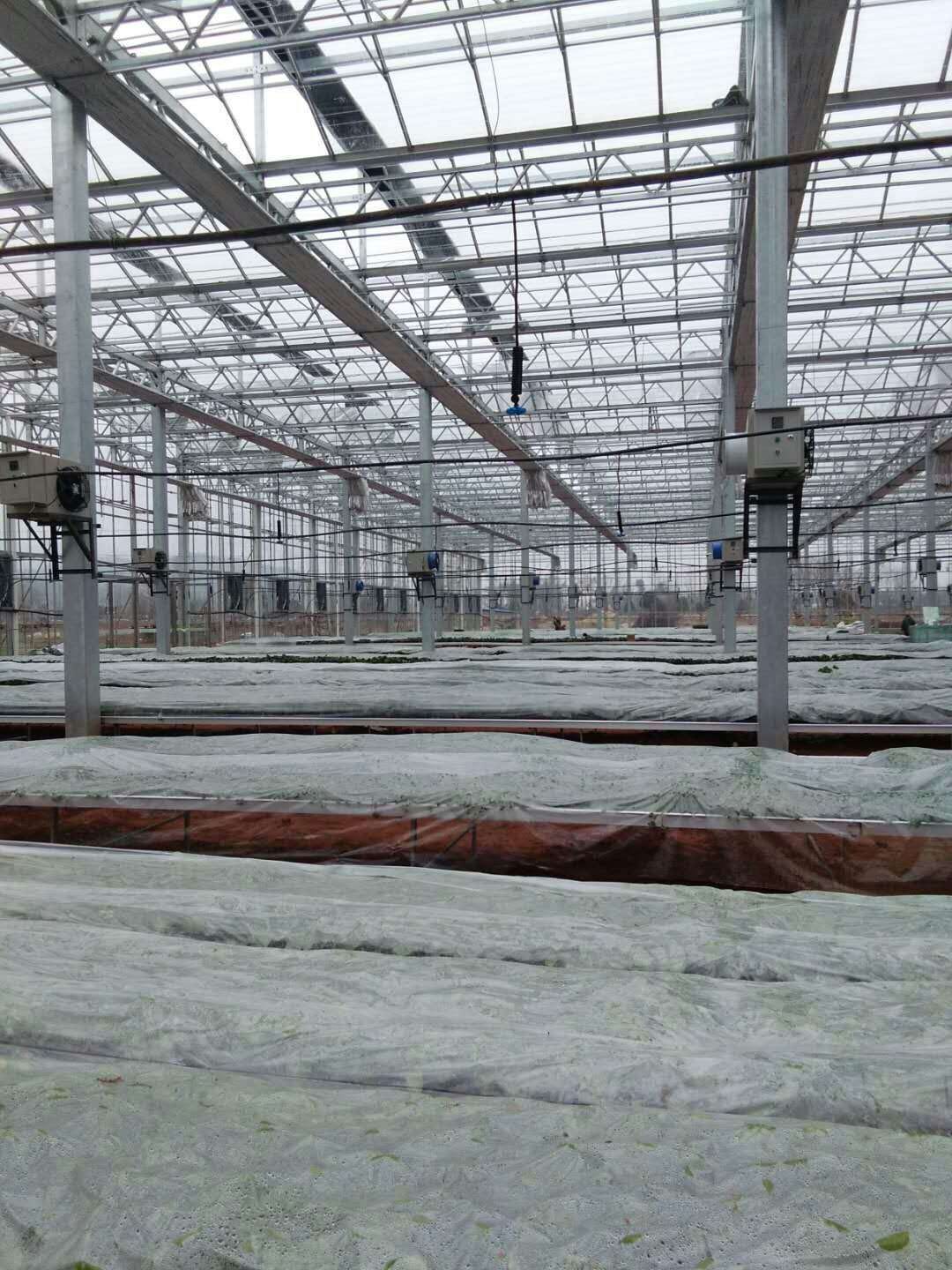 供应青州宜恩优质玻璃温室大棚批发